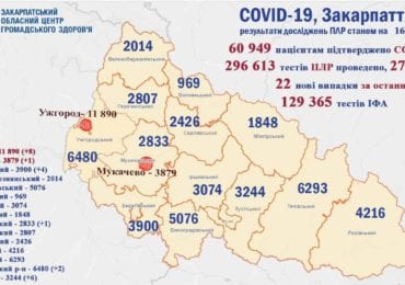 На Закарпатті 22 нових випадків коронавірусу за добу, 2 людей померли