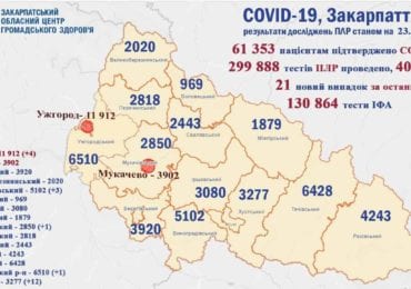 На Закарпатті 21 новий випадок коронавірусу за добу, 1 людина померла