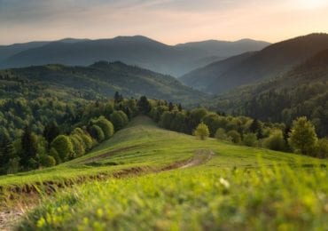 Закарпаття має шанси потрапити до "зеленої" карантинної зони