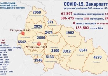 За минулу добу на Закарпатті 8 випадків коронавірусу, жоден пацієнт не помер