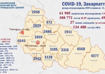 На Закарпатті 27 нових випадків коронавірусу за добу, двоє людей померли