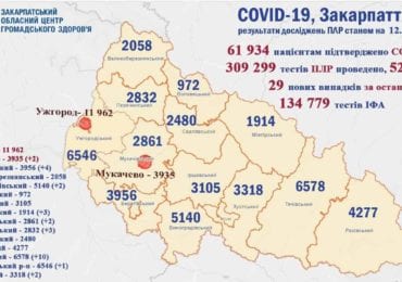 На Закарпатті 29 нових випадків коронавірусу за добу, жоден пацієнт не помер