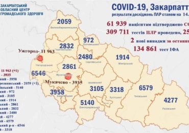 На Закарпатті 2 нові випадки коронавірусу за добу, 1 людина померла