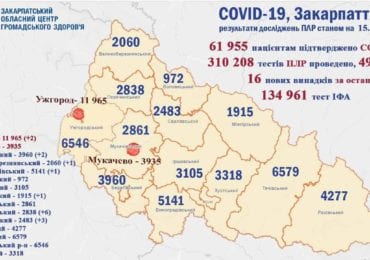 На Закарпатті 16 нових випадків коронавірусу за добу, жоден пацієнт не помер