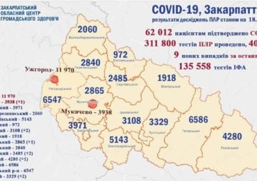 На Закарпатті 9 нових випадків коронавірусу за добу, жоден пацієнт не помер