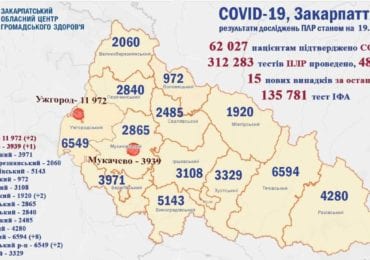 На Закарпатті 15 нових випадків коронавірусу за добу, одна людина померла