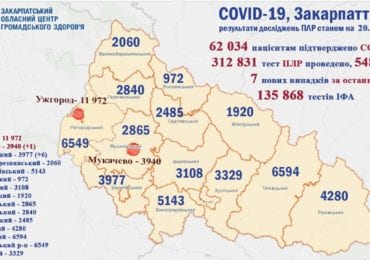 На Закарпатті 7 нових випадків коронавірусу за добу, жоден пацієнт не помер