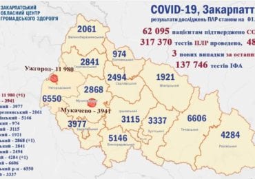 На Закарпатті 3 нових випадків коронавірусу за добу, одна людина померла