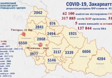 На Закарпатті 5 нових випадків коронавірусу за добу, жоден пацієнт не помер