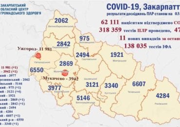 На Закарпатті 11 нових випадків коронавірусу за добу, одна людина померла