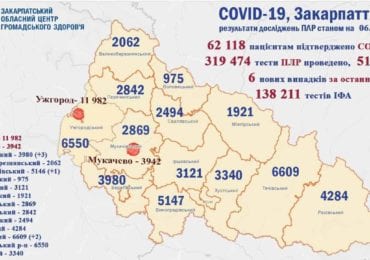 На Закарпатті 6 нових випадків коронавірусу за добу, жоден пацієнт не помер