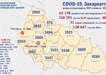 На Закарпатті 11 нових випадків коронавірусу за добу, жоден пацієнт не помер