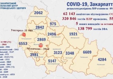 На Закарпатті 5 нових випадків коронавірусу за добу, жоден пацієнт не помер