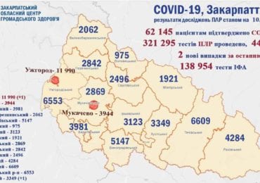 На Закарпатті 2 нових випадків коронавірусу за добу, жоден пацієнт не помер