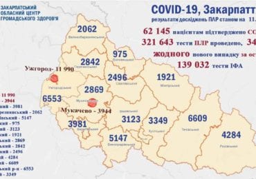 За минулу добу на Закарпатті не виявлено жодного випадку коронавірусу