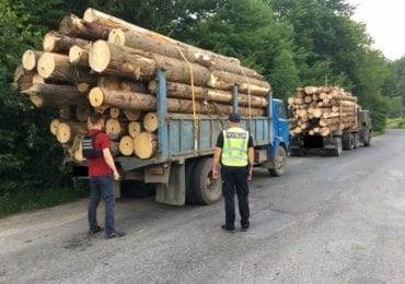 На Рахівщині зупинили дві вантажівки з деревиною без документів і "повторними" чіпами (ФОТО)