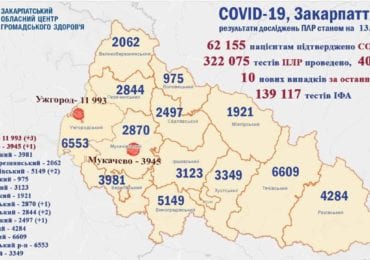 На Закарпатті 10 нових випадків коронавірусу за добу, одна людина померла