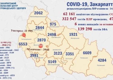 На Закарпатті 6 нових випадків коронавірусу за добу