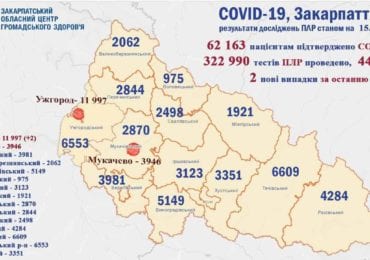 На Закарпатті 2 нові випадки коронавірусу за добу, жоден пацієнт не помер