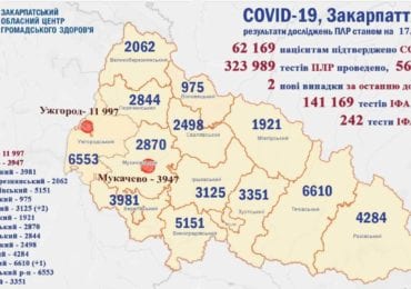 На Закарпатті 2 нових випадків коронавірусу за добу