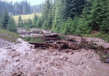 На Закарпатті через негоду зійшли селеві потоки (ФОТО)