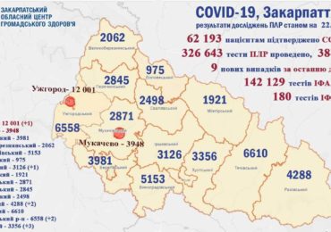 На Закарпатті 9 нових випадків коронавірусу за добу