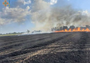 Знищений врожай: на Ужгородщині горіло пшеничне поле (ФОТО)