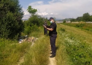 На Закарпатті невідомі викинули на узбіччя трупи свійських тварин