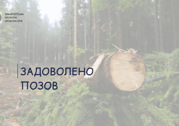 За незаконну рубку лісу, на Мукачівщині прокуратура вимагає відшкодування понад 98 тис. грн збитків