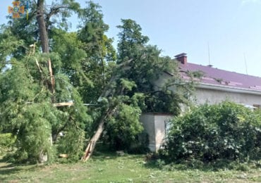 Пошкоджені будинки, повалені дерева та знеструмлені села: Закарпаттям пронеслась буря (ФОТО)