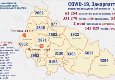 На Закарпатті виявили два нових випадки ковіду за останню добу