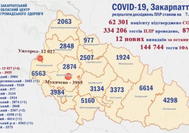 За добу в області виявлено 12 інфікованих закарпатців