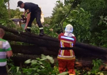 Через пориви вітру на Ужгородщині 6 дерев впали на дороги