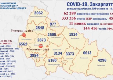 На Закарпатті за добу виялено 11 хворих на ковід