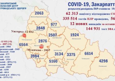 На Закарпатті 12 нових випадків коронавірусу за добу