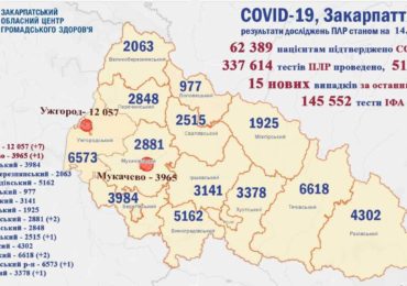 На Закарпатті 15 нових випадків коронавірусу за добу