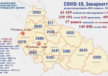 На Закарпатті 17 нових випадків коронавірусу за добу