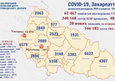 На Закарпатті 20 нових випадків коронавірусу за добу