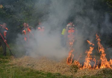 Ліс надійно захищений:  на Закарпатті відпрацьовували техніку гасіння великих пожеж  (ФОТО, ВІДЕО)