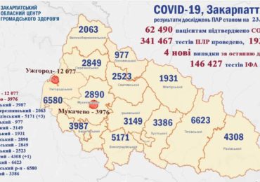 На Закарпатті 4 нові випадки коронавірусу за добу