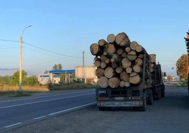 Закарпатські патрульні виявили водія вантажівки, який перевозив деревину без відповідних документів