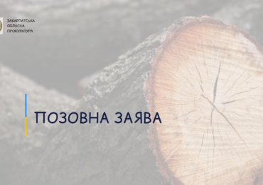 На Ужгородщині прокуратура вимагає відшкодувати 630 тисяч грн збитків, завданих незаконними рубками лісу