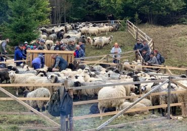 У селі на Закарпатті вівчарі відзначили "розлучення овець"