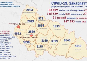 На Закарпатті 21 новий випадок коронавірусу за добу