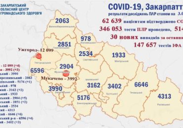 На Закарпатті 30 нових випадків коронавірусу за добу