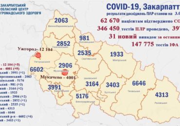 На Закарпатті 31 новий випадок коронавірусу за добу