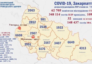 На Закарпатті 32 нові випадки коронавірусу за добу, одна людина померла