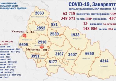 На Закарпатті 13 нових випадків коронавірусу за добу