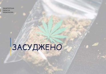 Закарпатця засуджено на 3 роки ув'язнення за зберігання наркотиків