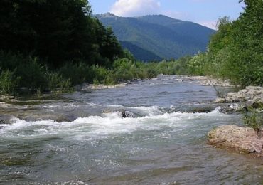 Чоловіка деблокували рятувальники: на Закарпатті водій влетів в річку